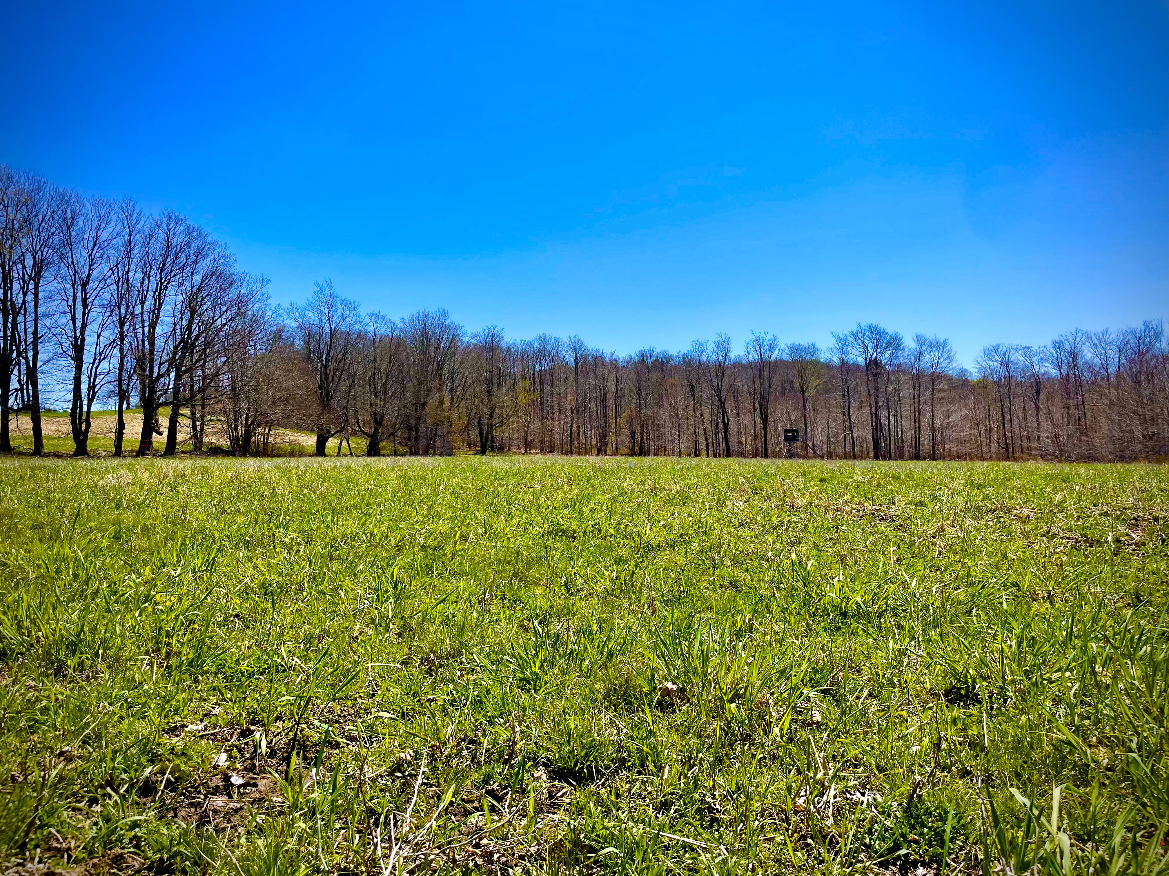 Food Plots